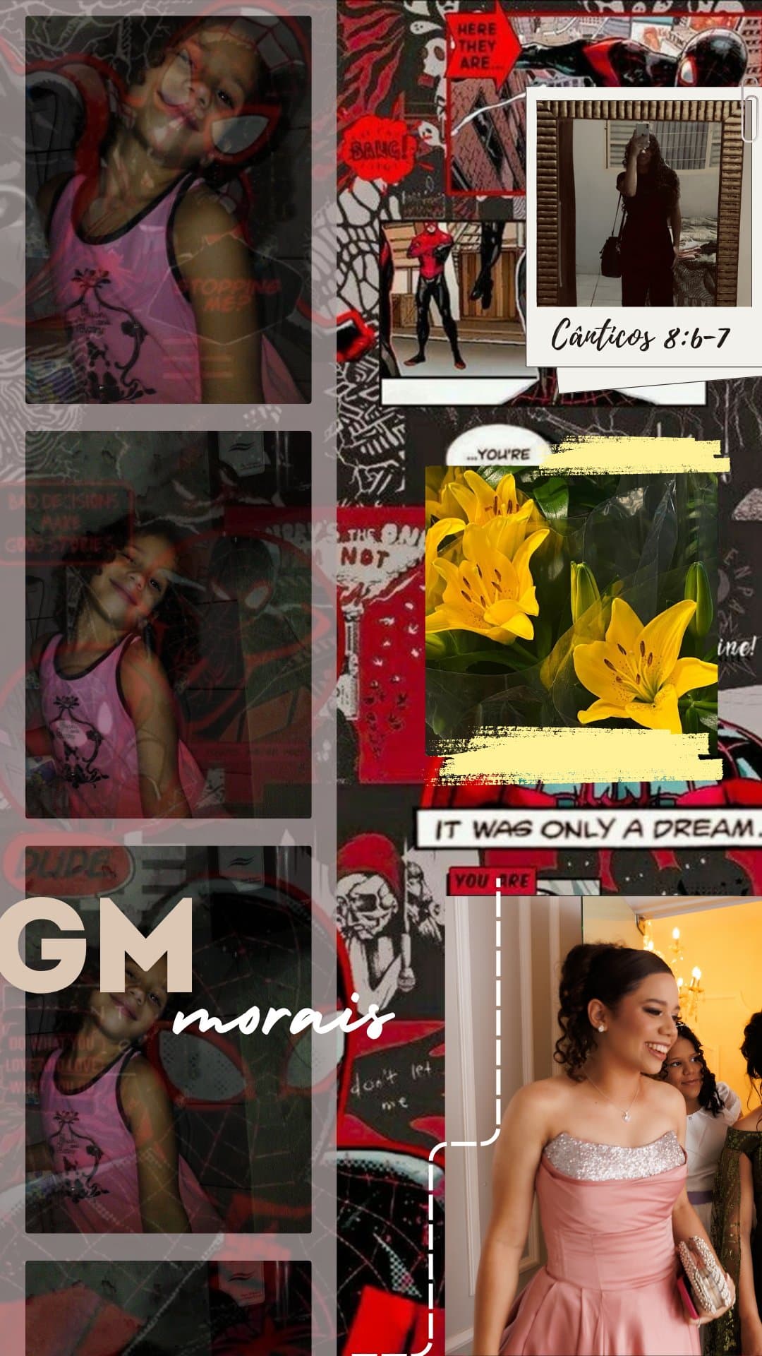 CARROSSEL - STUDIO GM